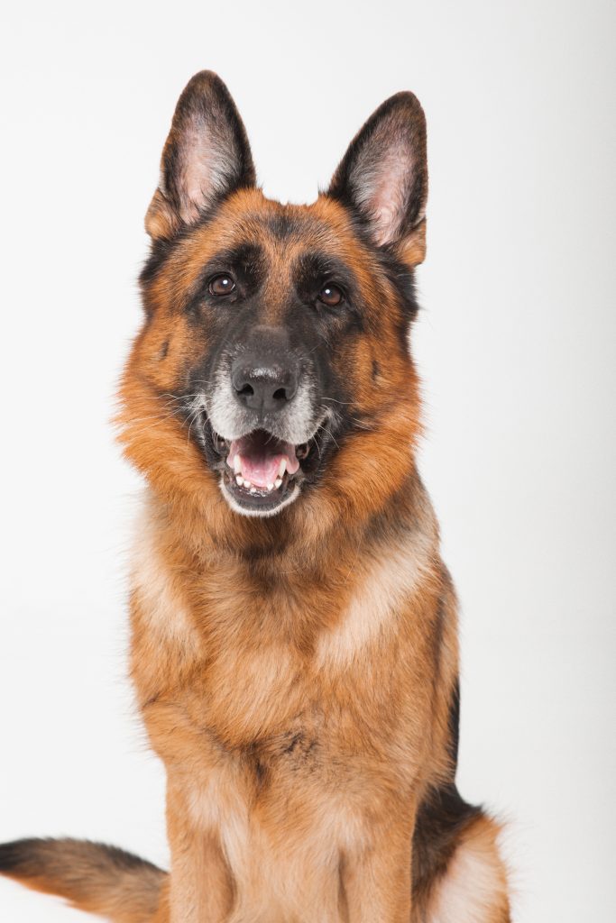 Shooting Famille Remi et Emma by M and C Studio Photo-65